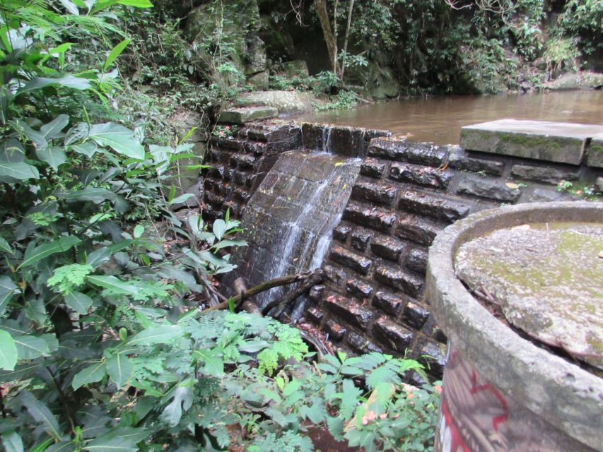Rio: Tijuca Forest & Horto Waterfalls Circuit Tour - Starting in Jardim Botânico