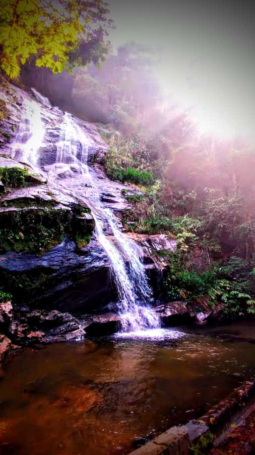Rio: Tijuca Forest Small Group Hike to Caves and Waterfalls - Baronesa Cascade is the reward at the end