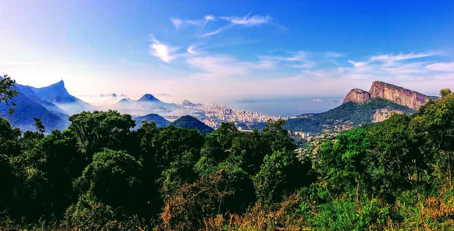 Rio: Tijuca National Park Small-Group Hike to Pedra Bonita - What to pack for the trail