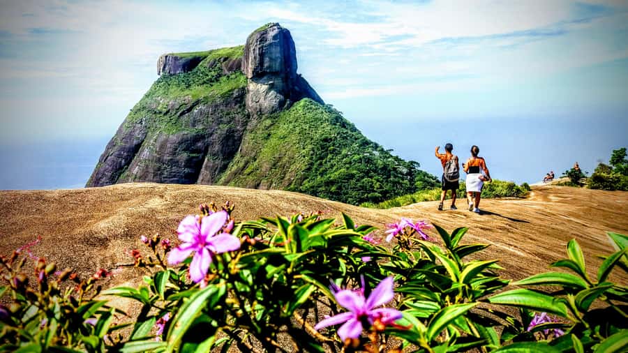 Rio: Tijuca National Park Small-Group Hike to Pedra Bonita - Is $63 good value?