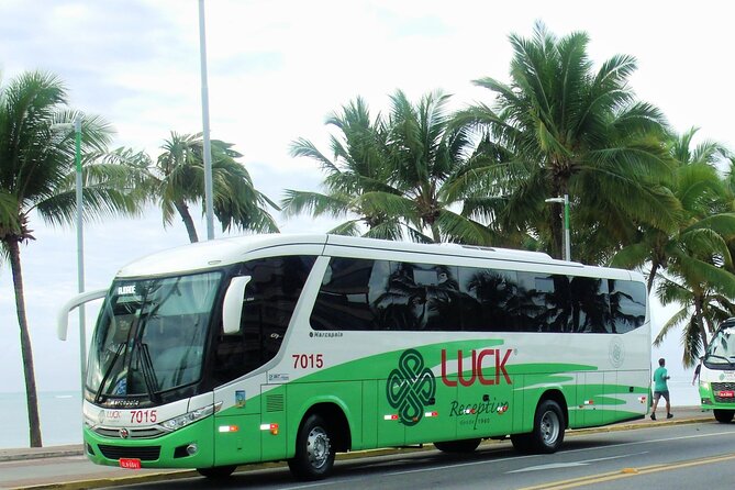 Round trip transfer between Airport and Hotels in Maceió - What the return transfer is really like