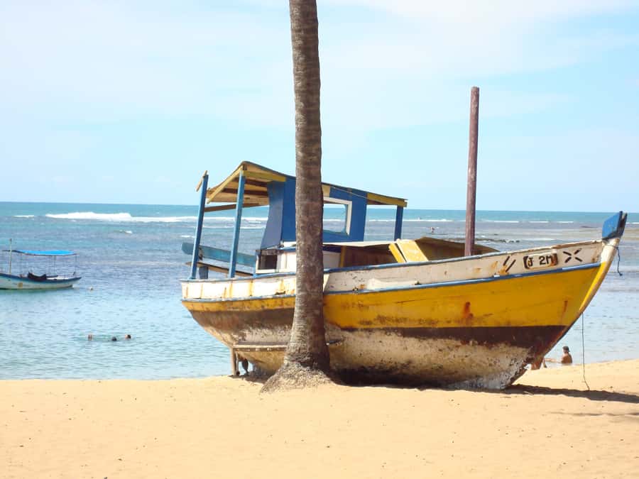 Salvador: Praia Do Forte and Guarajuba Beach Day Trip - Key points to know before you go