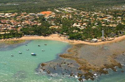 Praia Do Forte and Guarajuba Beach Day Trip