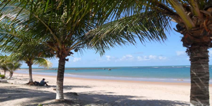 Salvador: Praia Do Forte and Guarajuba Beach Day Trip - What makes Projeto Tamar worth the extra fee