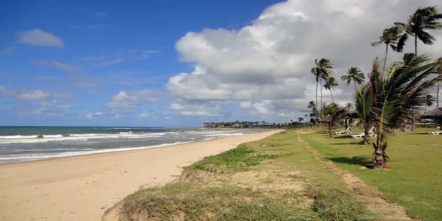 Salvador: Praia Do Forte and Guarajuba Beach Day Trip - Practical advice for a smoother day