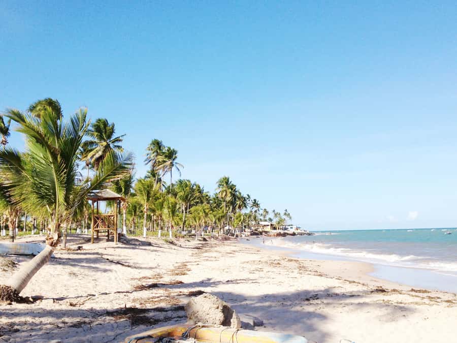 Salvador: Schooner Cruise with Pickup and Itaparica Stop - Setting out across Baía de Todos os Santos