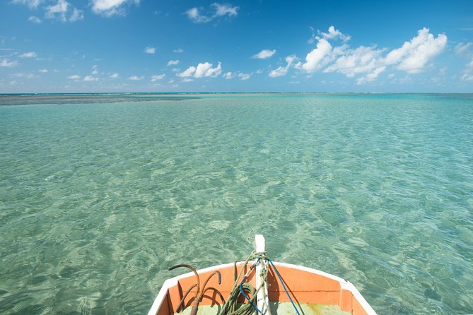 São Miguel dos Milagres Tour from Maragogi with Costazul Turismo - Key Details Before You Book