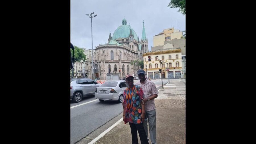 São Paulo: 5hr City Tour With Fruit Tasting - Sé Cathedral and the Japanese District of Liberdade