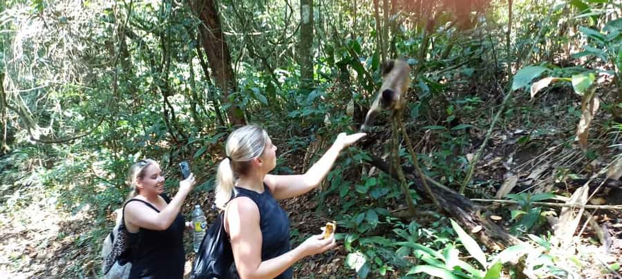 São Paulo: Atlantic Forest Hike in Jaraguá Park with Picnic - Safety, weather, and route changes