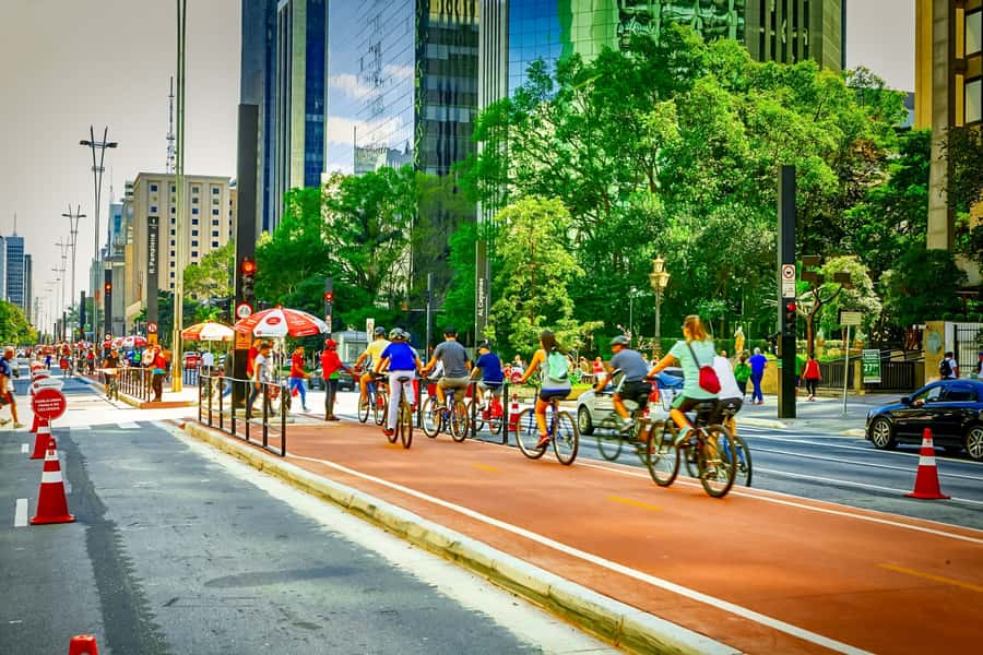 São Paulo City: 5-Hour Private Tour - One hour at the Municipal Market