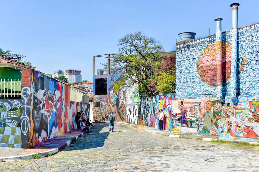 São Paulo City: 5-Hour Private Tour - Vila Madalena and Beco do Batman