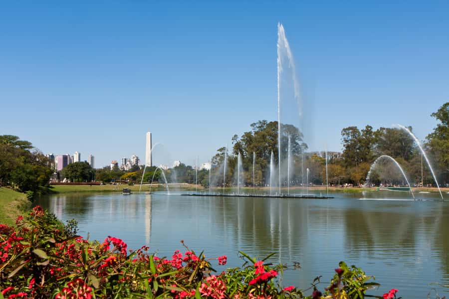São Paulo: City Highlights Private Tour with Pickup Airport - The guides make the difference
