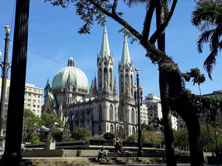 Sao Paulo: Downtown-Center Walking Tour | 2 Hours - English - What the guide adds to the experience
