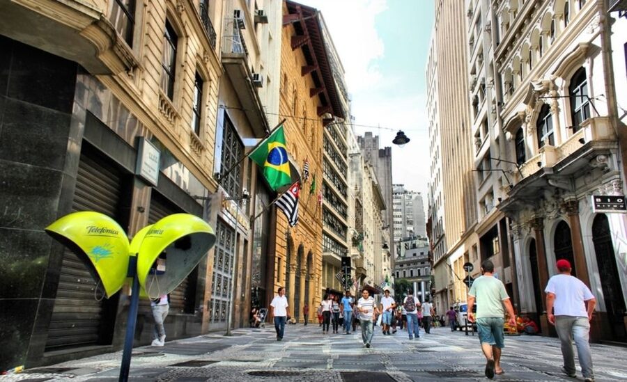 São Paulo: Full-Day Guided City Tour from the Port of Santos - What the private format is worth at $675
