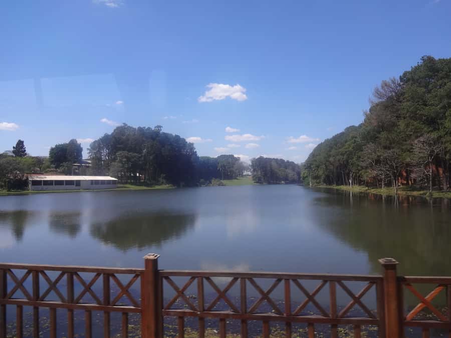 São Paulo: Holambra Colorful Flower Farm Guided Day Trip - Key points at a glance