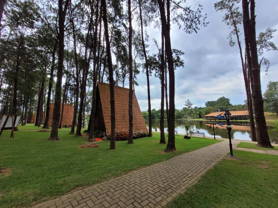 São Paulo: Holambra Colorful Flower Farm Guided Day Trip - Is $118 a fair price?