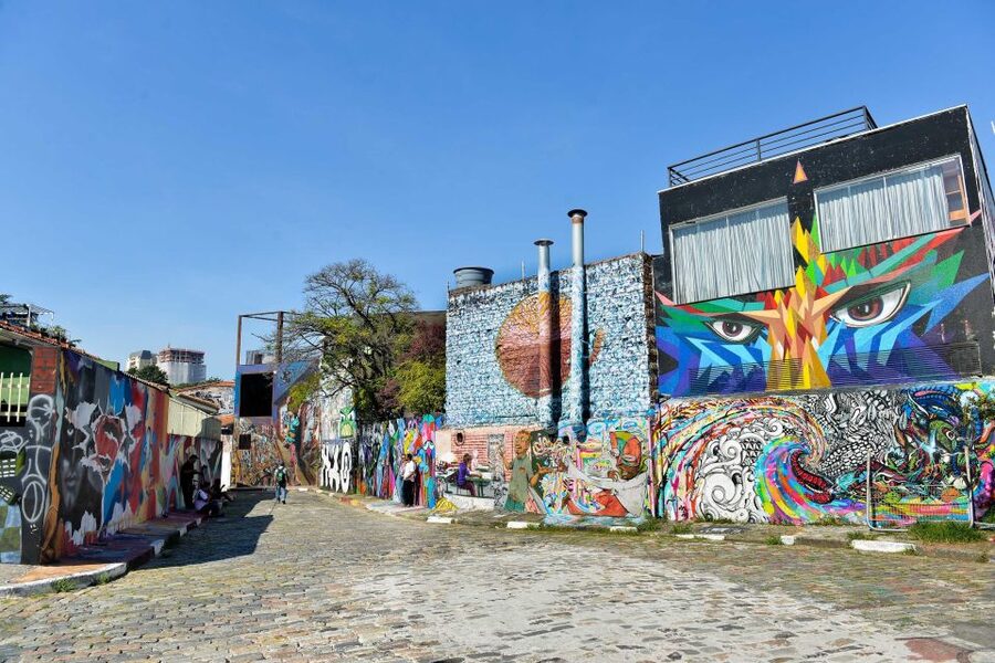 São Paulo: Layover Private Tour from GRU Airport - Municipal Theater, Law School, and Copan Building