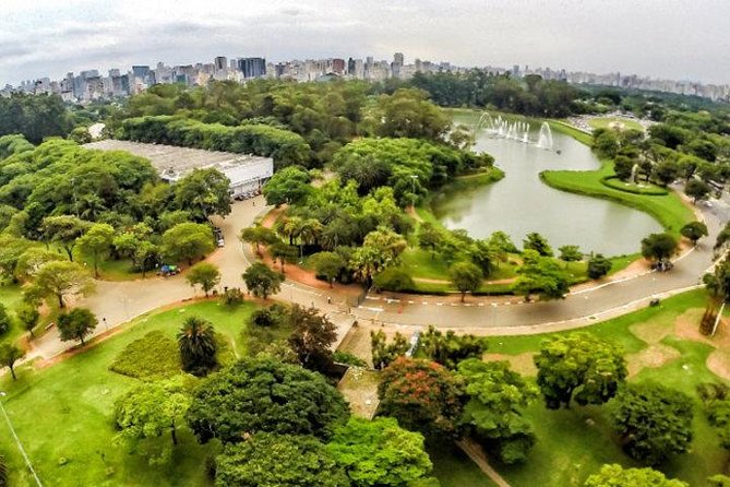 São Paulo Major Tourist Attractions Private Tour: 8-Hour (Santos City Pick-up) - The real challenge: Santos, São Paulo, and the clock