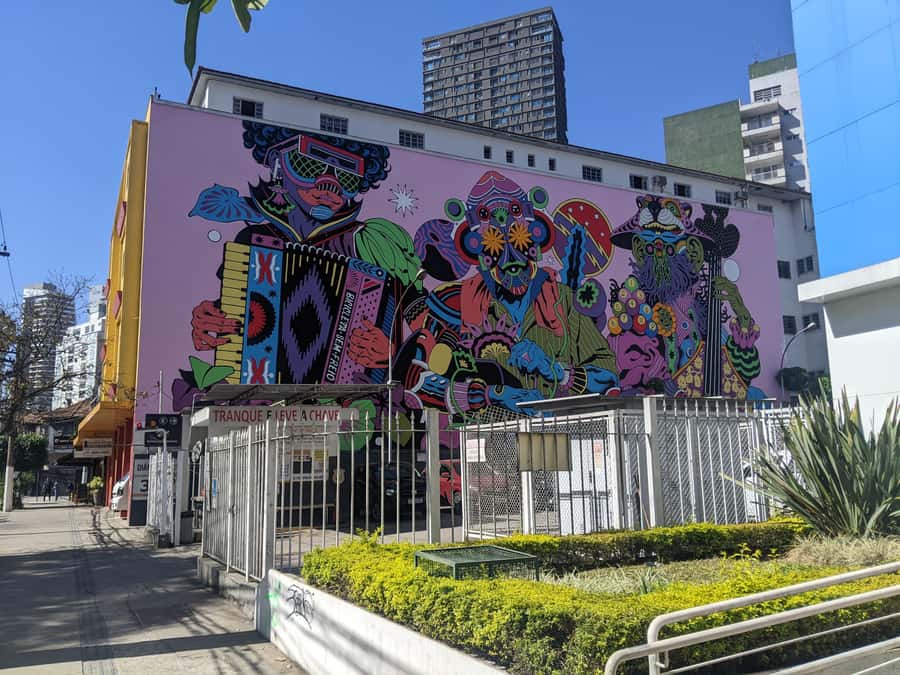 Sao Paulo, Pinheiros - Food & Graffiti Tour | in English - Pinheiros on foot after the market