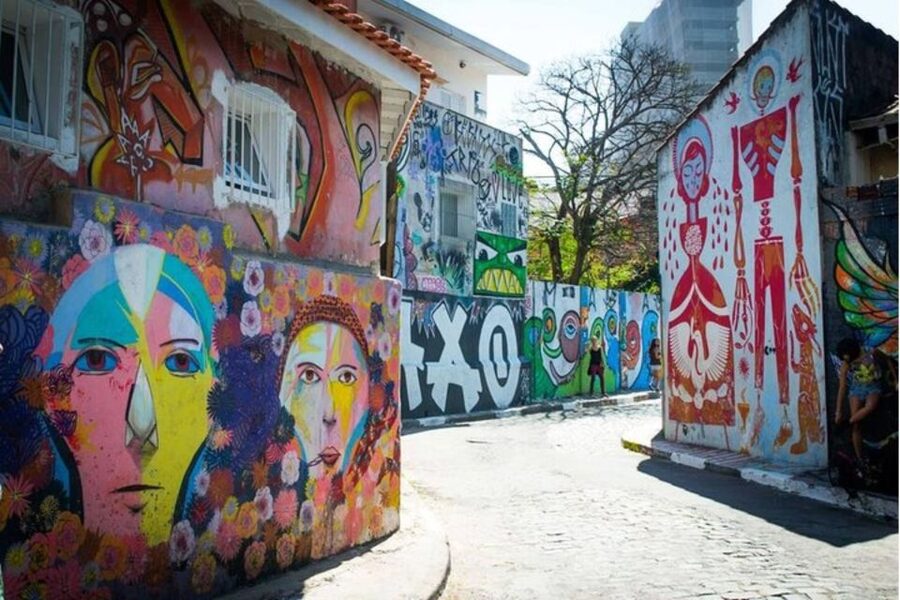 Sao Paulo: Private custom tour with a local guide - Monuments, Museums, and the City Seen From Outside