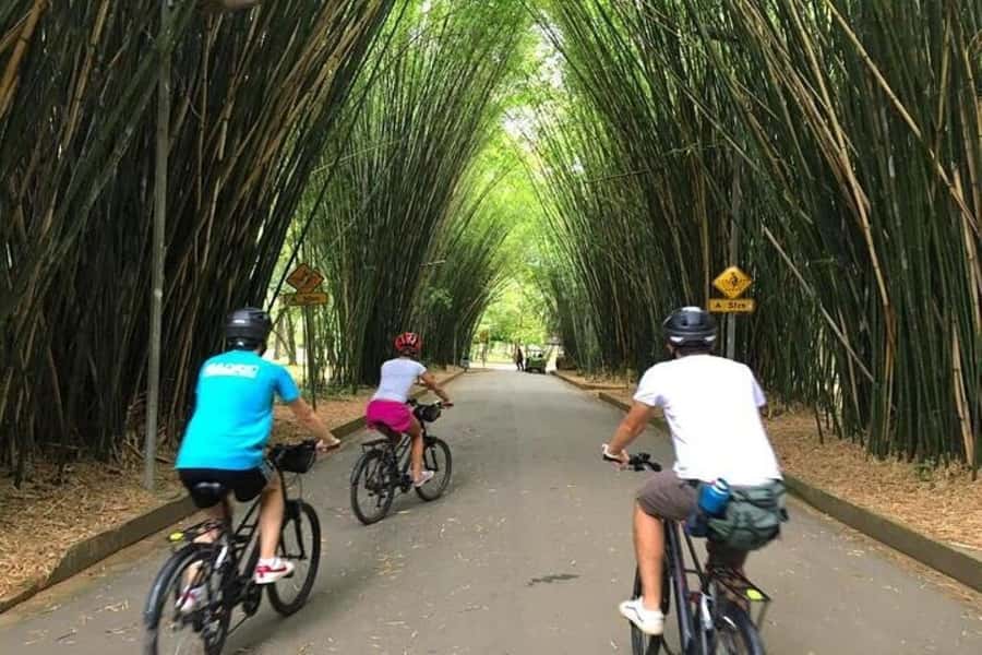 Sao Paulo: The Coolest Urban Scenes Bike Tour - Key points before you book