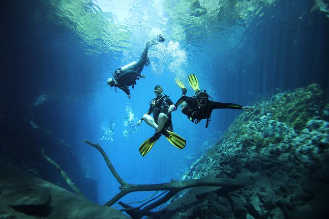 Skip the Line: Lagoa Misteriosa Admission Ticket with Scuba Diving Experience - The forest approach and the long stairway to the water