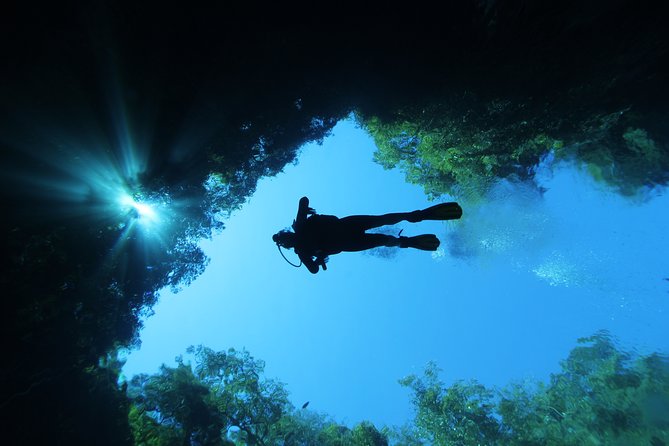 Skip the Line: Lagoa Misteriosa Admission Ticket with Scuba Diving Experience - What certified scuba participants can expect