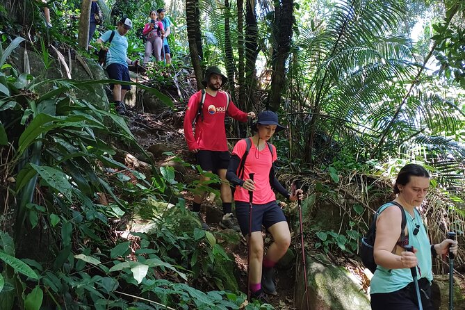 Small Group Hike to Saco Bravo Waterfall - The 6:30 a.m. start at Paraty Bus Station