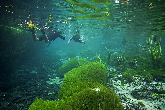 Snorkel in the Sucuri River - Five things to know before you book
