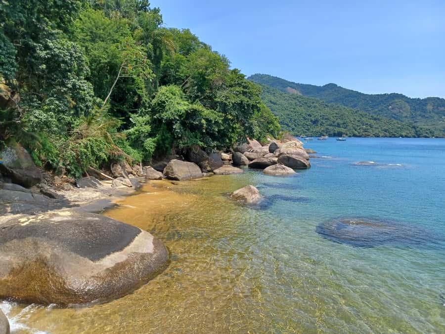 Snorkeling with turtles in their natural habitat - Who will enjoy this Ilha Grande outing