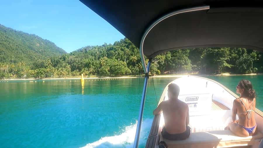 Snorkeling with turtles in their natural habitat - Should you book the turtle snorkeling trip?