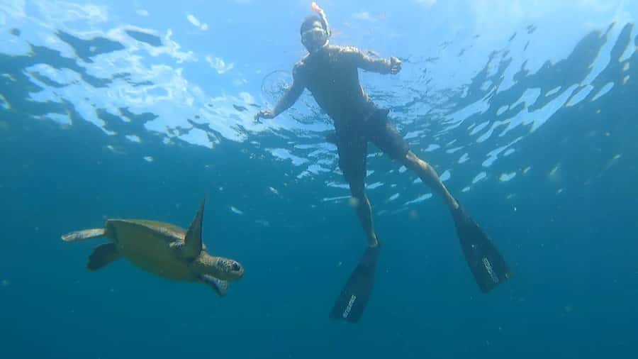 Snorkeling with turtles in their natural habitat - Lagoa Azul, the natural aquarium