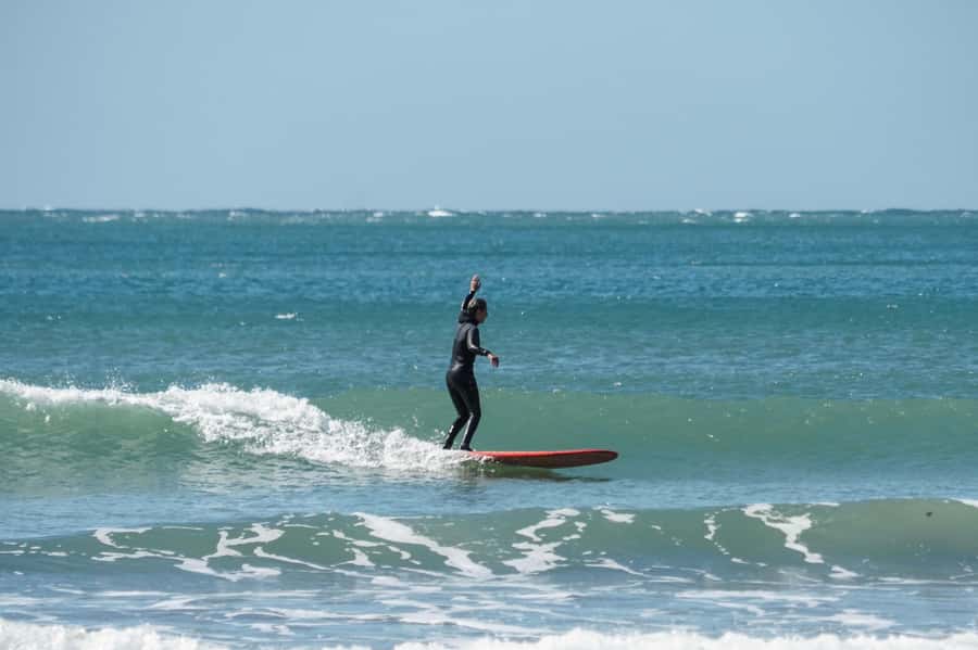 Surfing Lesson with Sea Wolf - Key points at a glance