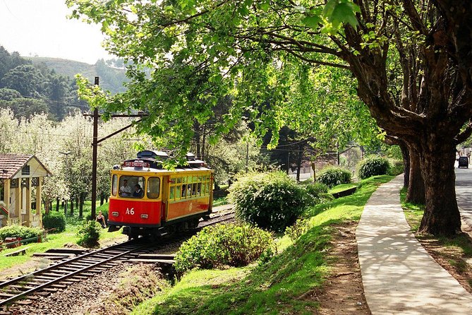 The Brazilian Switzerland - Day Trip on Campos do Jordão from São Paulo - The road from São Paulo: useful, but not exciting