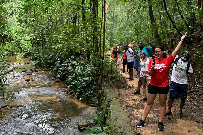 Tijuca Forest Hike - Waterfalls & Caves, Nature & Wild Life! - Taunay Waterfall Sets the Tone