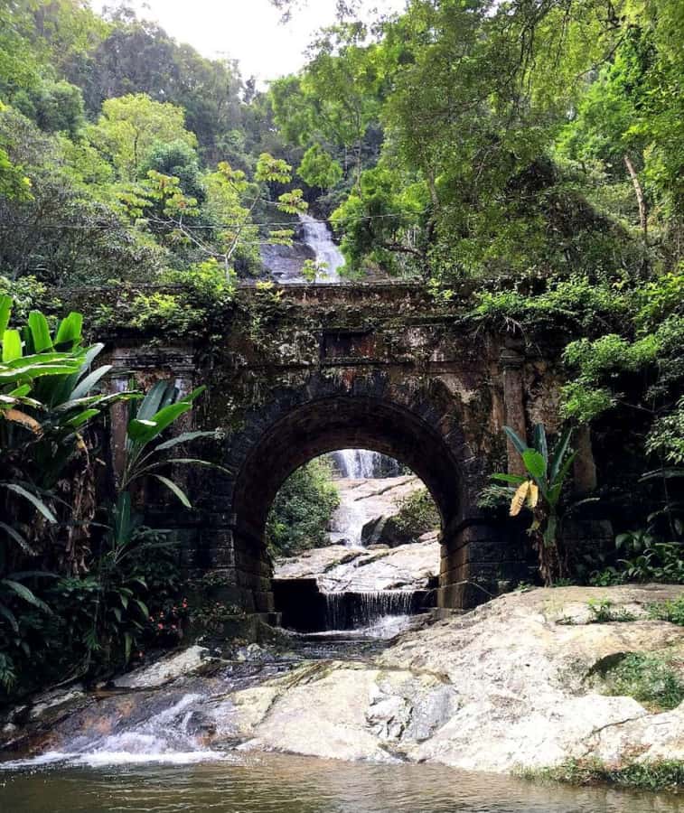 Tijuca Forest´s hike: caves, waterfalls and great views - Is $40 a fair price?