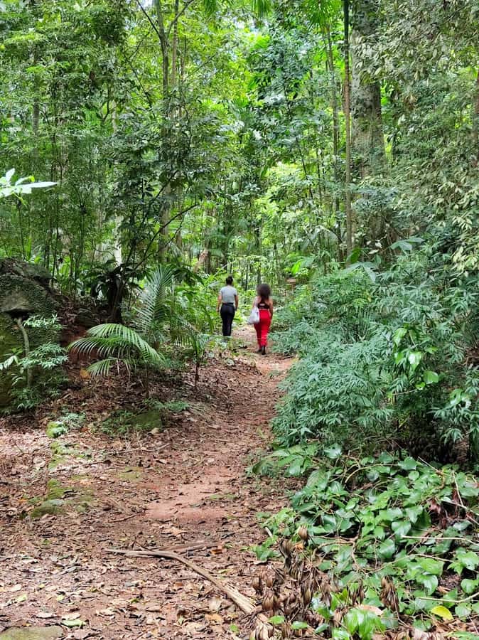 Tijuca Forest´s hike: caves, waterfalls and great views - Cascatinha Taunay: a strong opening stop
