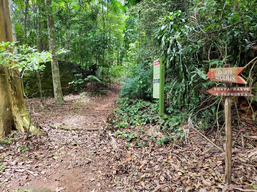 Tijuca Forest´s hike: caves, waterfalls and great views - Walking the historical circuit and cave circuit