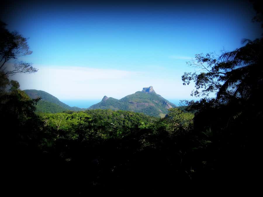 Tijuca Forest´s hike: caves, waterfalls and great views - A stop near A Floresta Restaurant