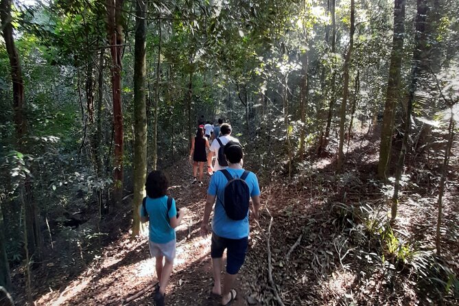 Tijuca National Park and all its wonders - Why Tijuca National Park is worth your morning