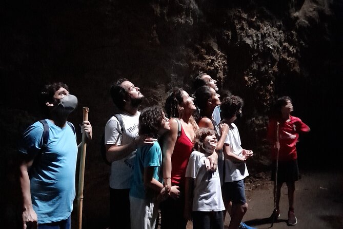 Tijuca National Park and all its wonders - Cascatinha Taunay and the waterfall stops