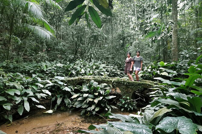 Tijuca National Park and all its wonders - Is $68.67 a fair price?