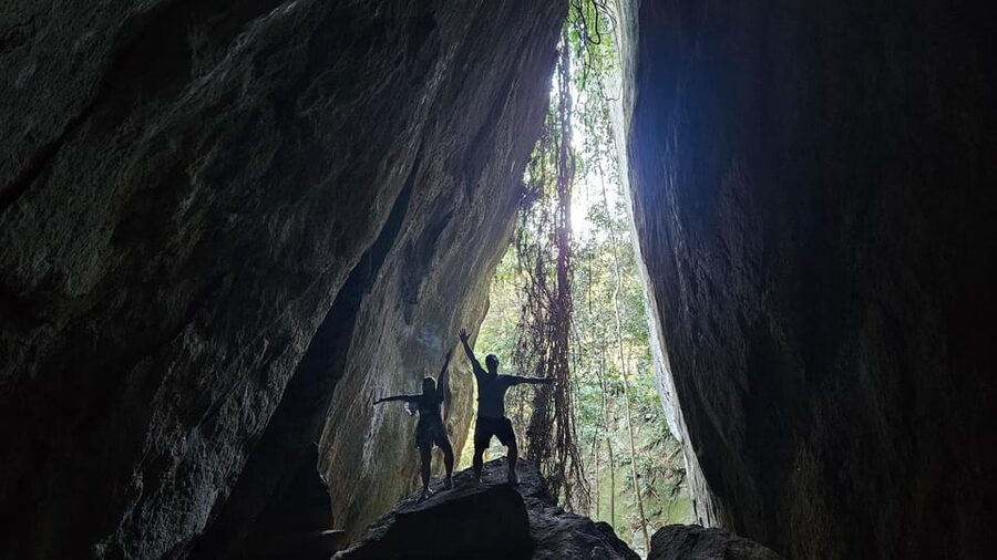 Tijuca National Park and all its wonders! - Wildlife watching requires patience