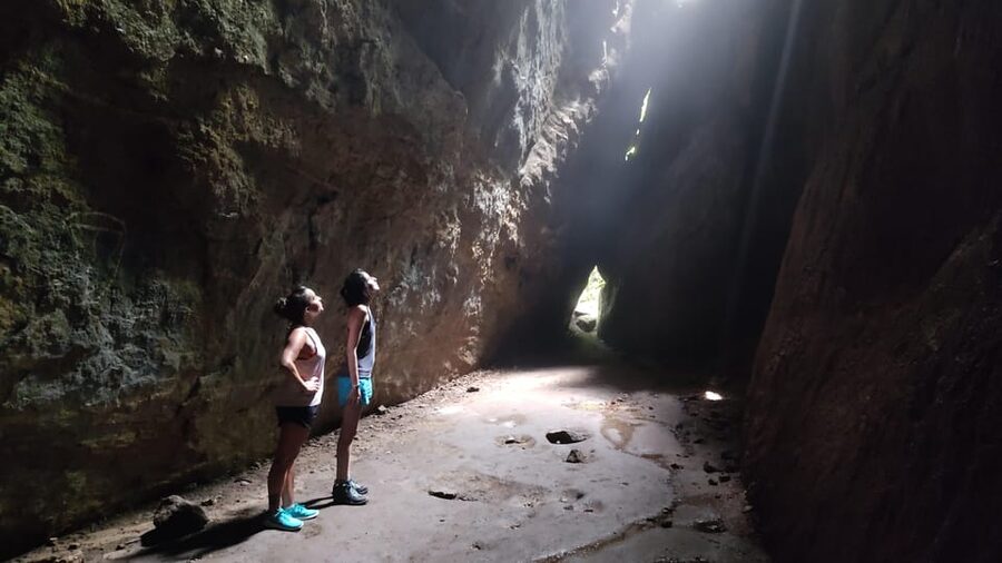 Tijuca National Park and all its wonders! - A flexible 6 to 12 kilometer route suits different hikers