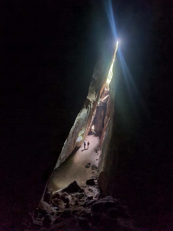 Tijuca Rain Forest - Adventure through Waterfalls & Caves - Why Tijuca Forest Makes a Good Half-Day Trip