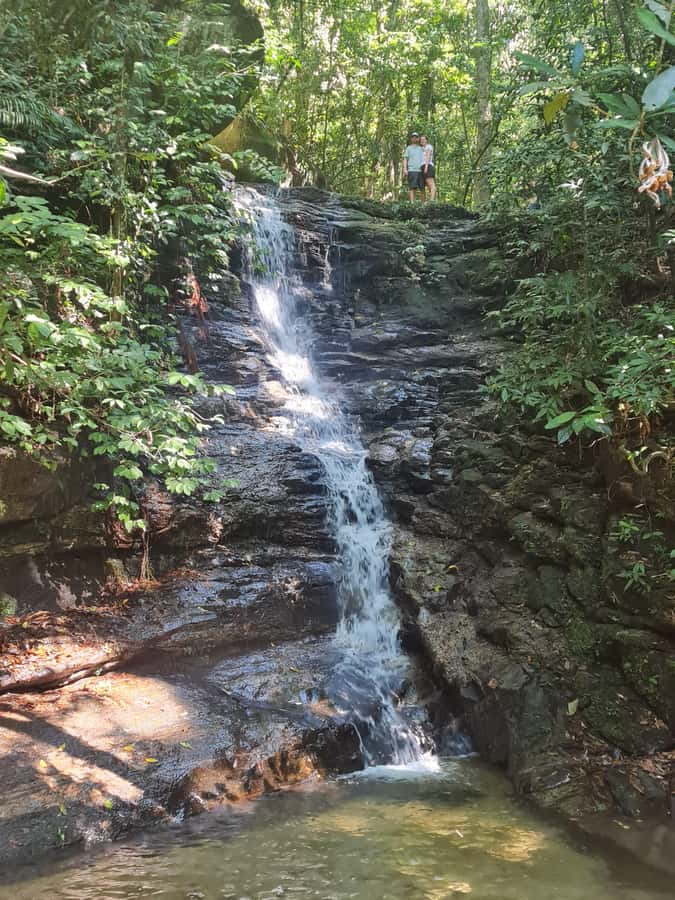 Tijuca Rain Forest - Adventure through Waterfalls & Caves - Taunay Waterfall, the 35-Meter Opening Scene