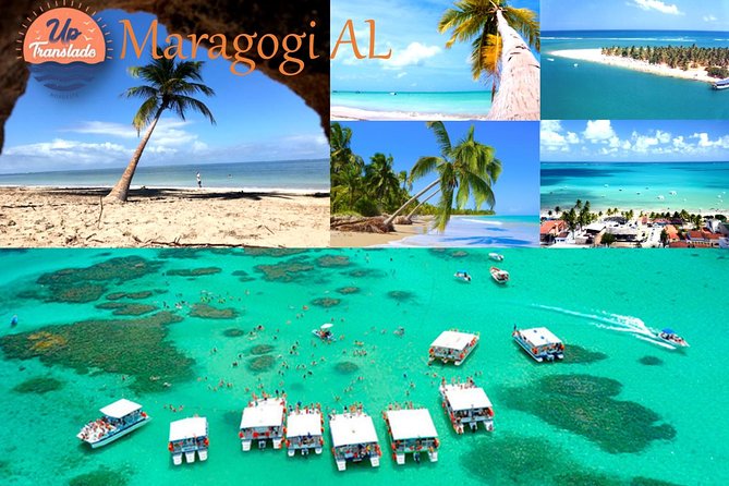 Tour To Maragogi AL - Key things to know before you book