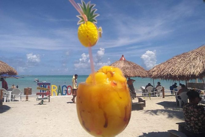 Tour To Maragogi AL - Maragogi Beach and the calm coastal water