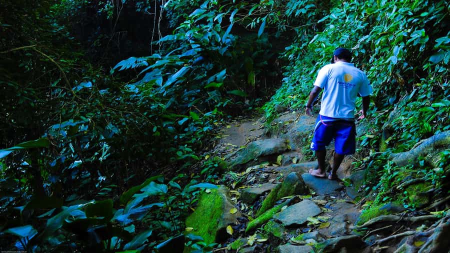 Trindade Day Trip: Nature and Sea Adventure from Paraty - Key points to know before you go