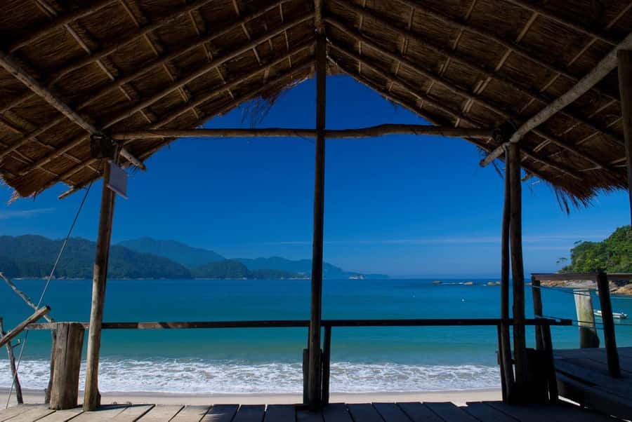 Trindade Day Trip: Nature and Sea Adventure from Paraty - What the guide adds to the day